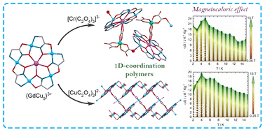 Graphical abstract: Magnetocaloric effect in 1D-polymers bearing 15-metallacrown-5 {GdCu5}3+ units and anionic oxalate complexes