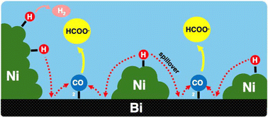 Graphical abstract: CO2 reduction efficiency through electrolyte immersion in hierarchical bismuth–nickel catalysts