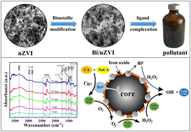Graphical abstract: An enhanced Bi/nZVI activated molecular oxygen process for the degradation of sulfonamide antibiotics in a citrate buffering system