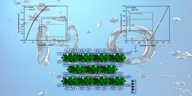 Graphical abstract: Pyridine polymer tubular structures connected with polyoxometalates as bifunctional electrocatalysts for water splitting
