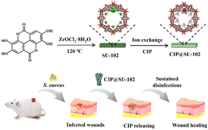 Graphical abstract: A Zr-based metal–organic framework drug release system with long-lasting antibacterial behavior for accelerating wound healing