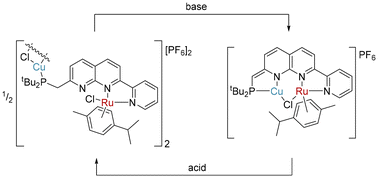 Graphical abstract: Ruthenium, copper and ruthenium–copper complexes of an unsymmetrical phosphino pyridyl 1,8-naphthyridine PNNN ligand