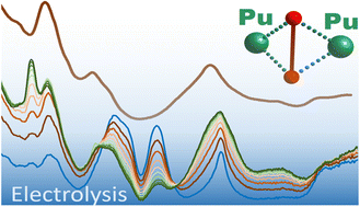 Graphical abstract: How plutonium “brown” peroxo complex emerges from electrolysis experiments