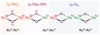 Graphical abstract: Ru(iv)–Ru(iv), Ru(iii)–Ru(iv), and Ru(iii)–Ru(iii) complexes having a sulfato bridging ligand on the doubly oxido-/hydroxido-bridged core, and their crystallographic and electronic structures