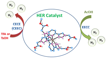 Graphical abstract: Effect of proton sources on the electrocatalytic hydrogen evolution reaction mediated by a copper complex of bistriazolylpyridine