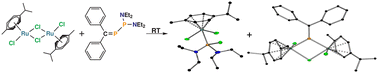Graphical abstract: Phosphanylphosphaalkenes as precursors for metallaphosphaalkene complexes