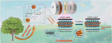 Graphical abstract: Constructing dendrite-suppressing separators based on cellulose acetate and polyoxometalates toward uniform lithium electrodeposition