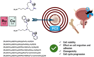 Graphical abstract: Ruthenium(ii) and copper(ii) polyamine complexes as promising antitumor agents: synthesis, characterization, and biological evaluation