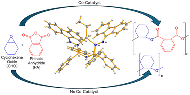 Graphical abstract: A new class of ligand derived from the reactions of bis(dialkylphosphino)amines and 9-diazofluorene: preparation, structure and reactivity