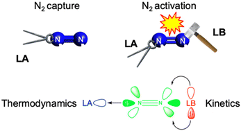 Graphical abstract: Exploring N2 activation using novel Lewis acid/base pairs: computational insight into frustrated Lewis pair reactivity