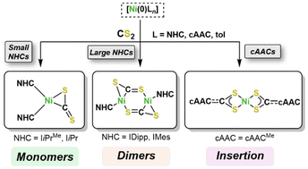Graphical abstract: On the reactivity of complexes [Ni(NHC)2] with CS2