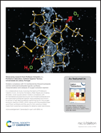 Graphical abstract: Back cover