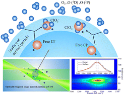 Graphical abstract: Study of heterogeneous chemistry and photochemistry of single sea-spray aerosols containing Hg(ii) in air using optical trapping – Raman spectroscopy