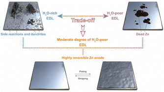 Graphical abstract: Trade-off between H2O-rich and H2O-poor electric double layers enables highly reversible Zn anodes in aqueous Zn-ion batteries