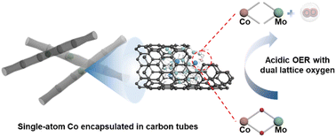 Graphical abstract: Single-atom Co dispersed on polyoxometalate derivatives confined in bamboo-like carbon nanotubes enabling efficient dual-site lattice oxygen mediated oxygen evolution electrocatalysis for acidic water electrolyzers