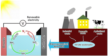 Graphical abstract: Rethinking nitrate reduction: redirecting electrochemical efforts from ammonia to nitrogen for realistic environmental impacts