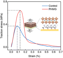 Graphical abstract: Mechanical strengthening of a perovskite–substrate heterointerface for highly stable solar cells