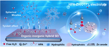 Graphical abstract: Amphiphilic electrolyte additive as an ion-flow stabilizer enables superb zinc metal batteries