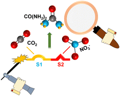 Graphical abstract: Electrochemical urea production using carbon dioxide and nitrate: state of the art and perspectives