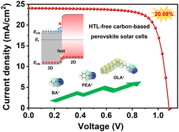 Graphical abstract: Ultra-large dipole moment organic cations derived 3D/2D p–n heterojunction for high-efficiency carbon-based perovskite solar cells