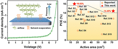 Graphical abstract: Rapid solidification for green-solvent-processed large-area organic solar modules with >16% efficiency