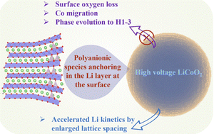 Graphical abstract: Enhancing the reaction kinetics and structural stability of high-voltage LiCoO2via polyanionic species anchoring