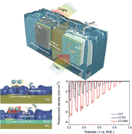 Graphical abstract: Unassisted photoelectrochemical hydrogen peroxide production over MoOx-supported Mo on a Cu3BiS3 photocathode