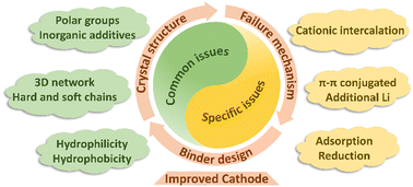 Graphical abstract: Binder design strategies for cathode materials in advanced secondary batteries