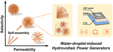 Graphical abstract: 3D dendritic hierarchically gradient nanoflowers in situ grown on conductive substrates for efficient hydrovoltaic power generation