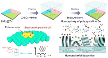 Graphical abstract: Facet-governed Zn homoepitaxy via lattice potential regulation