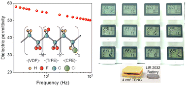 Graphical abstract: Triboelectric nanogenerators exhibiting ultrahigh charge density and energy density