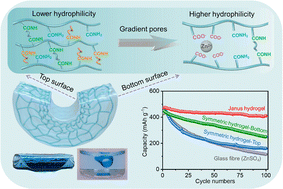 Graphical abstract: An integrated Janus hydrogel with different hydrophilicities and gradient pore structures for high-performance zinc-ion batteries