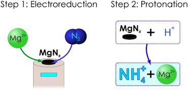 Graphical abstract: Reduction of dinitrogen to ammonium through a magnesium-based electrochemical process at close-to-ambient temperature