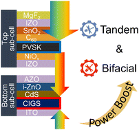 Graphical abstract: Power generation density boost of bifacial tandem solar cells revealed by high throughput optoelectrical modelling