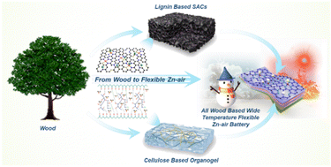 Graphical abstract: Wood-derived Fe cluster-reinforced asymmetric single-atom catalysts and weather-resistant organohydrogel for wide-temperature flexible Zn–air batteries