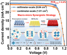 Graphical abstract: Macro–micro coordination optimization of lead iodide reactivity toward millimeter-to-centimeter-scale perovskite solar cells with minimal efficiency loss