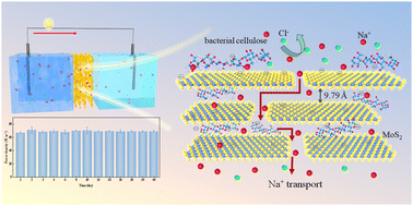 Graphical abstract: A subnano-confinement in robust MoS2-based membranes for high-performance osmotic energy conversion