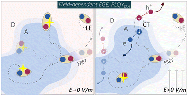 Graphical abstract: On the critical competition between singlet exciton decay and free charge generation in non-fullerene based organic solar cells with low energetic offsets