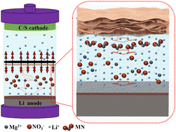 Graphical abstract: Sustainable release of Mg(NO3)2 from a separator boosts the electrochemical performance of lithium metal as an anode for secondary batteries