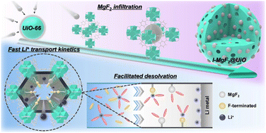 Graphical abstract: Magnesium fluoride-engineered UiO-66 artificial protection layers for dendrite-free lithium metal batteries