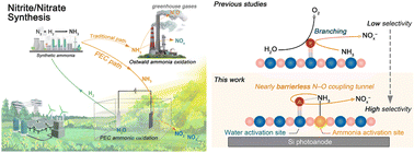 Graphical abstract: Cooperative oxidation of NH3 and H2O to selectively produce nitrate via a nearly barrierless N–O coupling pathway