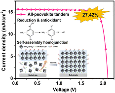 Graphical abstract: Self-assembly construction of a homojunction of Sn–Pb perovskite using an antioxidant for all-perovskite tandem solar cells with improved efficiency and stability