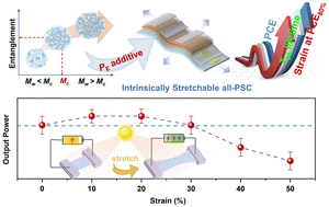 Graphical abstract: Simultaneously improved stretchability, stability, and output power in solar cells via entanglement control