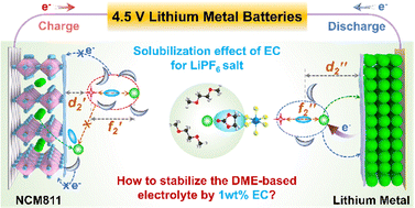 Graphical abstract: Trace ethylene carbonate-mediated low-concentration ether-based electrolytes for high-voltage lithium metal batteries
