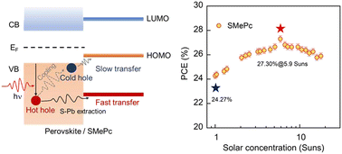 Graphical abstract: A hot carrier perovskite solar cell with efficiency exceeding 27% enabled by ultrafast hot hole transfer with phthalocyanine derivatives