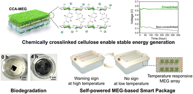 Graphical abstract: Environmentally sustainable moisture energy harvester with chemically networked cellulose nanofiber