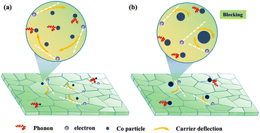 Graphical abstract: Magnetism-induced diffuse scattering effect triggers excellent thermoelectric performance