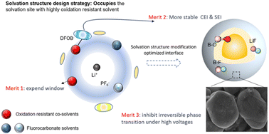 Graphical abstract: Cosolvent occupied solvation tuned anti-oxidation therapy toward highly safe 4.7 V-class NCM811 batteries