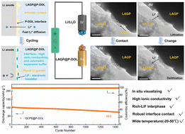 Graphical abstract: Stabilizing the LAGP/Li interface and in situ visualizing the interfacial structure evolution for high-performance solid-state lithium metal batteries