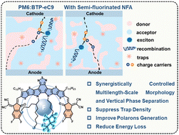 Graphical abstract: Synergistic control of multilength-scale morphology and vertical phase separation for high-efficiency organic solar cells